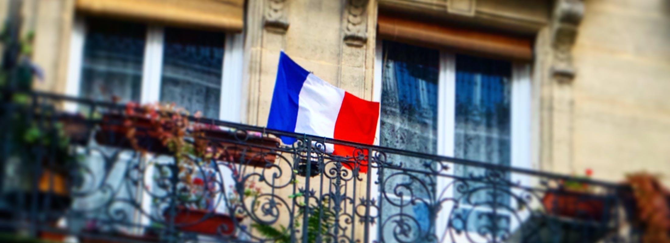 Safeguard review — French advisors reflect on highs and lows of restructuring cases