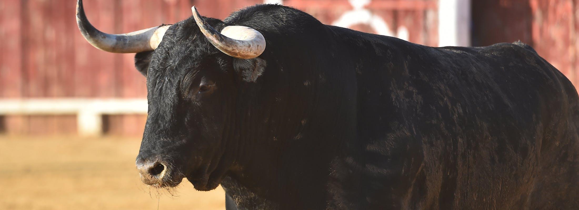 Excess Spread — Take the bull by the horns, the risk nobody wants?